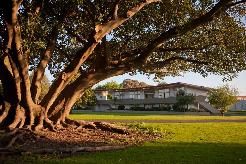 Kennedy Park Resort Napier Exterior photo